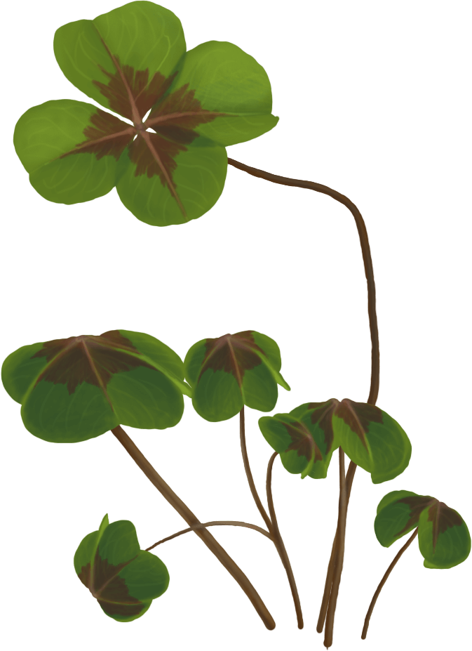 Slider_Gluecksklee-1