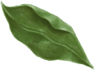 Slider_Quittenblatt-2